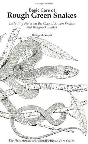 Basic Care of Rough Green Snakes