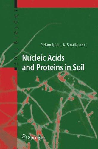 Nucleic acids and proteins in soil