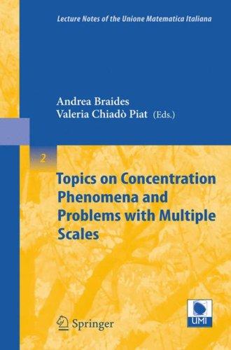 Topics on concentration phenomena and problems with multiple scales