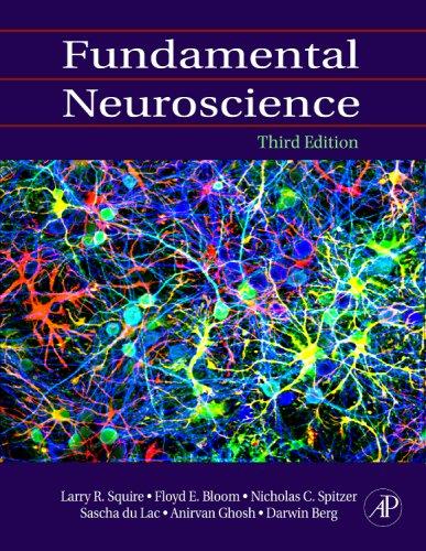 Fundamental neuroscience