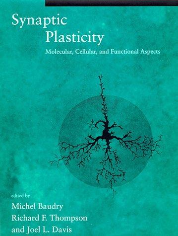 Synaptic Plasticity