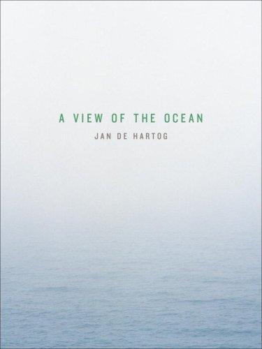 A View of the Ocean