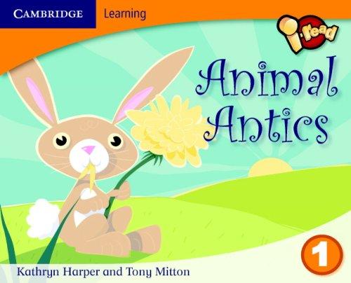 Animal Antics