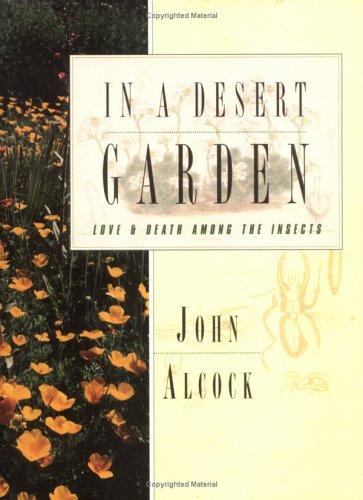 In a desert garden