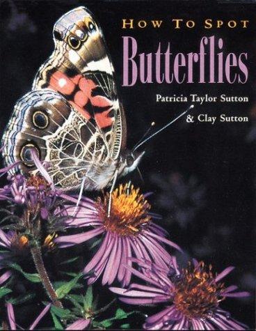 How to spot butterflies