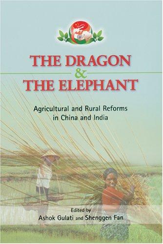 The Dragon and the Elephant