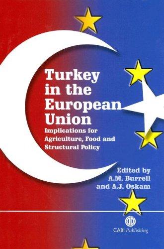 Turkey in the European Union