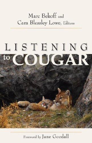 Listening to cougar