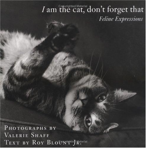 I Am the Cat, Don't Forget That