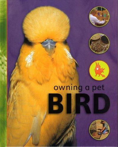 Bird (Owning a Pet)