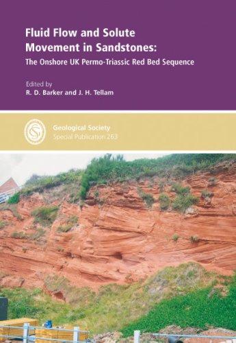 Fluid Flow and Solute Movement in Sandstones