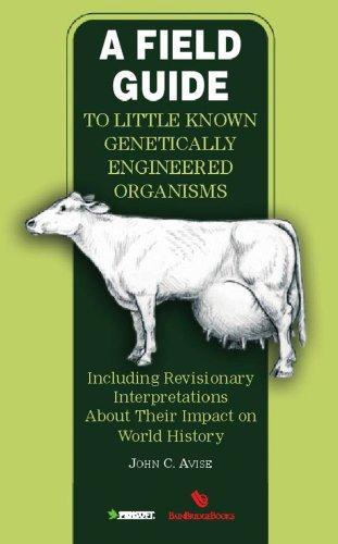 A Field Guide to Little Known Genetically Engineered Organisms