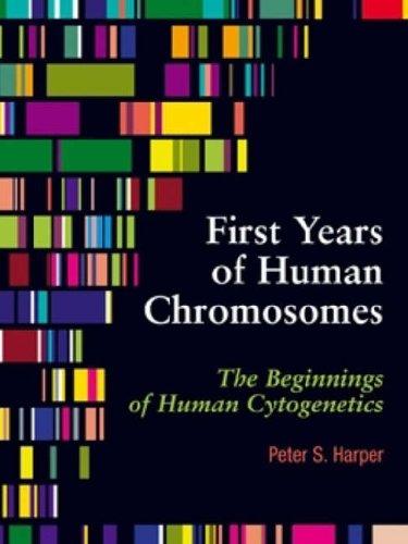 First years of human chromosomes