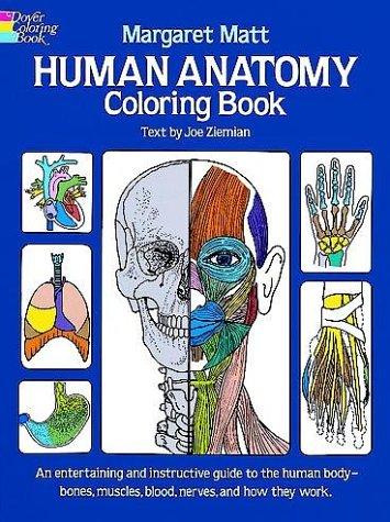 Human anatomy coloring book