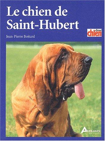 Le chien de St Hubert
