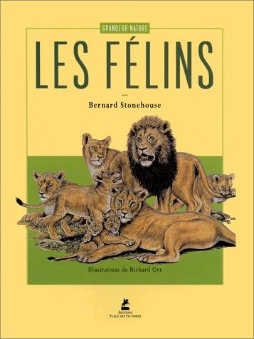 Les felins et les chats sauvages
