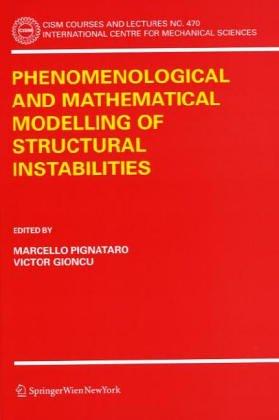 Phenomenological and mathematical modelling of structural instabilities
