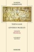 Gegen Praxeas