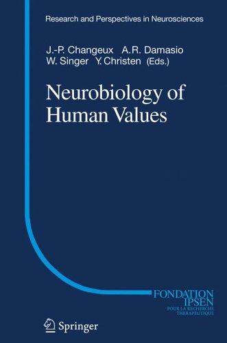 Neurobiology of human values
