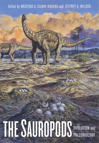 The Sauropods
