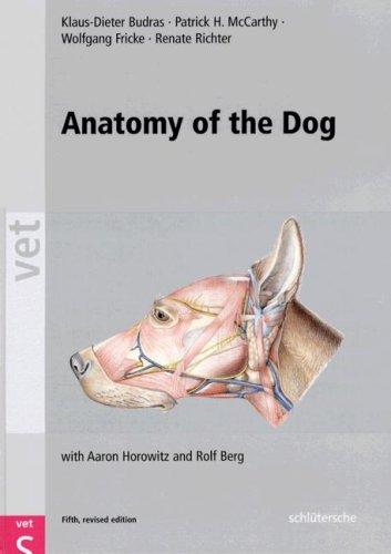 Anatomy of the Dog