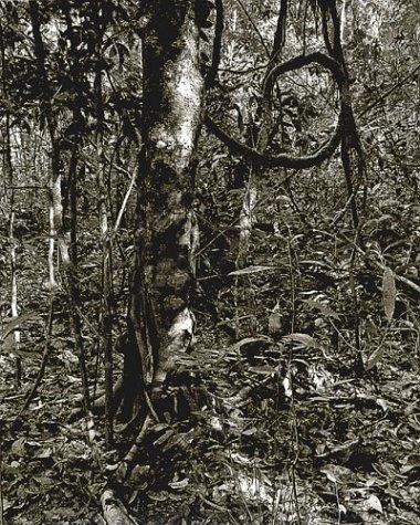 Balthasar Burkhard: Photographer