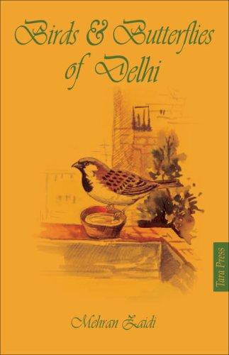 Birds & Butterflies of Delhi