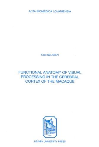 Functional Anatomy of Visual Processing in the Cerebral Cortex of the Macaque