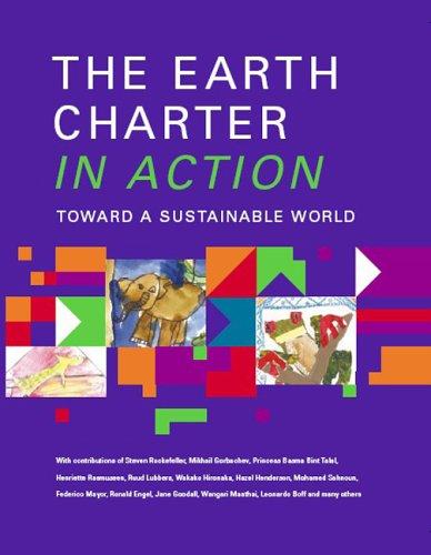 The earth charter in action