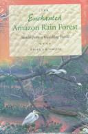The enchanted Amazon rain forest