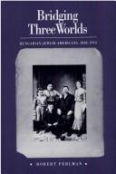 Bridging Three Worlds