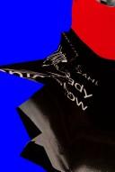 Unsteady Transonic Flow
