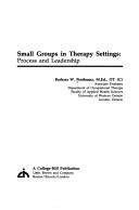 Small groups in therapy settings