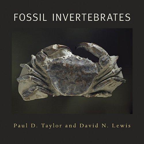 Fossil invertebrates