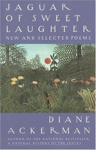Jaguar of sweet laughter