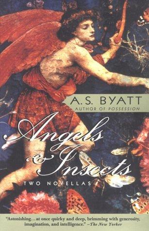 Angels & insects