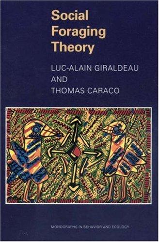 Social foraging theory