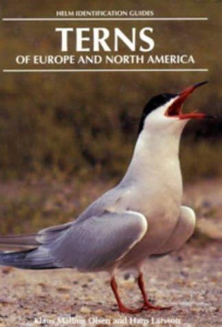 Terns of Europe and North America