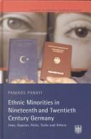 Ethnic Minorities in Nineteenth and Twentieth Century Germany