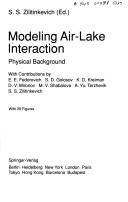 Modeling Air-Lake Interaction