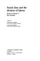 Social Class and the Division of Labour