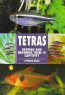 The Guide to Owning Tetras