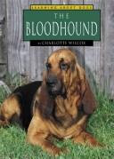 The Bloodhound (Learning About Dogs)