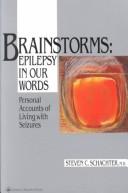 Brainstorms--epilepsy in our words