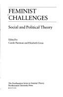 Feminist challenges