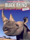 Black Rhino
