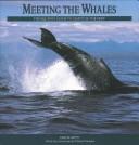 Meeting the Whales