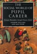 The social world of pupil career