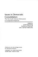 Issues in democratic consolidation