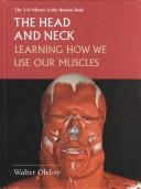 The Head and Neck